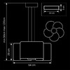Миниатюра фото подвесная люстра lightstar simple light 811 811152 | 220svet.ru