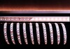 Миниатюра фото лента светодиодная deko-light 5050-96-24v-rgb+4200k-5m 840216 | 220svet.ru