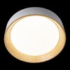 Миниатюра фото потолочный светильник loft it coin 10202 white | 220svet.ru