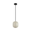 Миниатюра фото подвесной светильник odeon light cocoon 5060/1ga черный | 220svet.ru