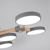 Миниатюра фото потолочная светодиодная люстра с пультом ду imperium loft turna 178305-26 | 220svet.ru
