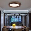 Миниатюра фото потолочный светодиодный светильник imperium loft runis 219475-26 | 220svet.ru