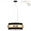 Миниатюра фото потолочный светильник lumion animaisa 8003/6c черный | 220svet.ru
