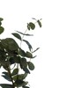 Миниатюра фото листья эвкалипта garda decor 9f28283j-5114gr | 220svet.ru