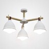Миниатюра фото потолочная люстра imperium loft flan 101588-26 | 220svet.ru