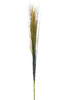 Миниатюра фото камыш травянистый бежевый garda decor 8j-14ab0002/1 | 220svet.ru