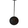 Миниатюра фото подвесной светильник loft it factory filament loft1102 | 220svet.ru