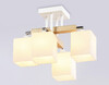 Миниатюра фото потолочная люстра ambrella light tr9512 | 220svet.ru