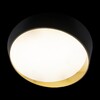 Миниатюра фото потолочный светильник loft it coin 10199 black | 220svet.ru