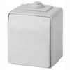Миниатюра фото переключатель одноклавишный эра 10ax 250v ip65 11-1603-03 б0035975 | 220svet.ru