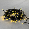 Миниатюра фото гирлянда нить с колпачком 10м золотой, 100 led, провод черный пвх, ip65 ltc pst100cap-11-2gl | 220svet.ru