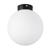 Миниатюра фото настенно-потолочный светильник lightstar globo 812027 | 220svet.ru