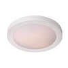 Миниатюра фото потолочный светильник lucide fresh 79158/01/31 | 220svet.ru