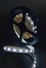 Миниатюра фото лента swg 12w/m 60led/m 5630smd холодный белый 5m 001688 | 220svet.ru