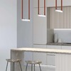 Миниатюра фото трековый ременной светильник denkirs dk5571-wb | 220svet.ru