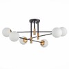 Миниатюра фото потолочная люстра st luce limano sl1203.402.06 | 220svet.ru