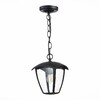 Миниатюра фото уличный подвесной светильник st luce sivino sl081.403.01 | 220svet.ru