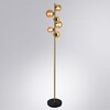 Миниатюра фото торшер arte lamp gemini a2243pn-6pb | 220svet.ru