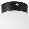 Миниатюра фото настенно-потолочный светильник lightstar globo 812027 | 220svet.ru