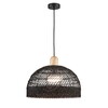 Миниатюра фото подвесной светильник favourite plat 4461-1p | 220svet.ru