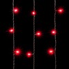 Миниатюра фото гирлянда занавес 2 x 2 м красный 220в, 400 led, провод черный пвх, ip54 ltc pcl402-11-2r | 220svet.ru