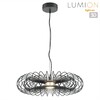 Миниатюра фото подвесной светильник lumion camomile 8301/9l черный | 220svet.ru
