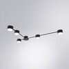Миниатюра фото потолочная люстра arte lamp tracy a1527pl-5bk | 220svet.ru