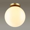 Миниатюра фото потолочный светильник odeon light bosco 4248/1c | 220svet.ru
