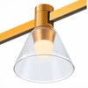 Миниатюра фото трековый светодиодный светильник st luce farm st814.206.03 | 220svet.ru