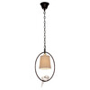 Миниатюра фото подвесной светильник loft it birds loft1029a-1 | 220svet.ru