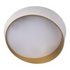 Миниатюра фото потолочный светильник loft it coin 10199 white | 220svet.ru