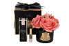 Миниатюра фото диффузор five rose peach garda decor 96cn-rb65 | 220svet.ru