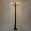 Миниатюра фото уличный парковый светильник citilux forts clu10p3 | 220svet.ru