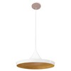 Миниатюра фото подвесной светильник loft it beat loft1844/c | 220svet.ru