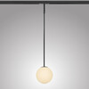Миниатюра фото трековый однофазный светильник 24v 3w 180° 3000k lightstar linea 206737 | 220svet.ru