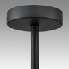 Миниатюра фото потолочная люстра lumion camilie 8060/6c черный | 220svet.ru