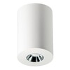 Миниатюра фото потолочный светодиодный светильник elvan nls-210067-4.2w-ww-whch | 220svet.ru