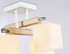 Миниатюра фото потолочная люстра ambrella light tr9512 | 220svet.ru