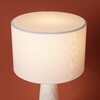 Миниатюра фото настольная лампа freya marmolatte fr2054tl-01bs3 | 220svet.ru