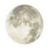 Миниатюра фото настенно-потолочный светильник sonex moon 3084/cln белый | 220svet.ru