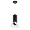 Миниатюра фото подвесной светильник lightstar rullo (214487+590057+202436) rp487436 | 220svet.ru