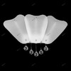 Миниатюра фото бра lightstar lobo 804640 | 220svet.ru