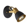 Миниатюра фото спот arte lamp jovi a1677ap-1go | 220svet.ru