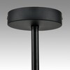 Миниатюра фото потолочная люстра lumion emina 8059/4c черный | 220svet.ru