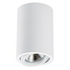 Миниатюра фото потолочный светильник lightstar rullo 214406 | 220svet.ru