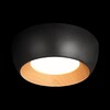 Миниатюра фото потолочный светильник loft it folk 10255/350 black | 220svet.ru