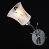 Миниатюра фото бра mw-light мечта 297023701 | 220svet.ru