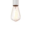 Миниатюра фото подвесной светильник loft it wickle loft1510wh | 220svet.ru