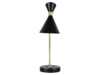 Миниатюра фото настольная лампа с зарядкой для телефона zortes desklight zrs.1066.04 | 220svet.ru