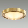 Миниатюра фото настенно-потолочный светильник lumion nina 5259/2c | 220svet.ru